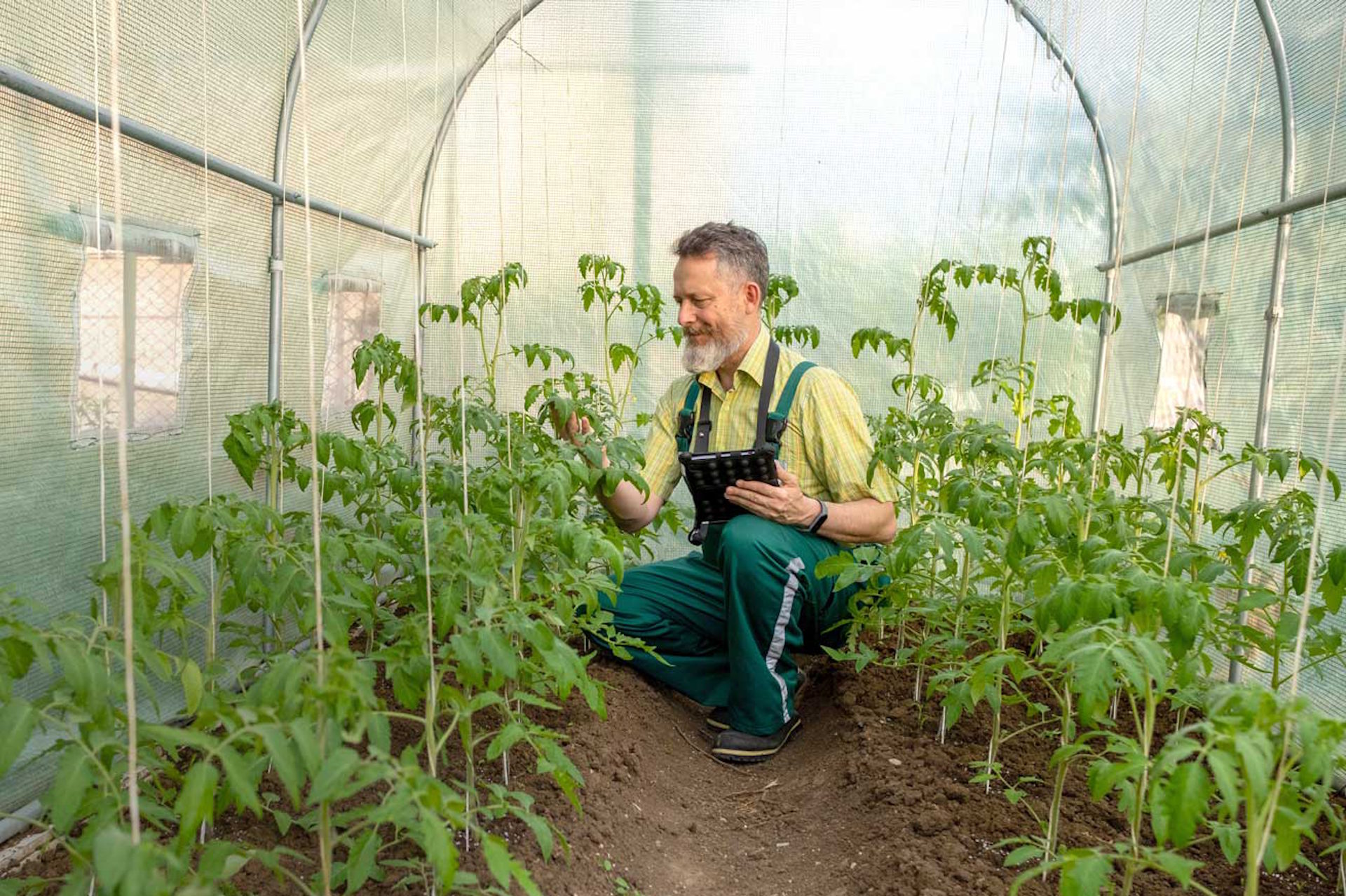 Residential Outdoor WiFi